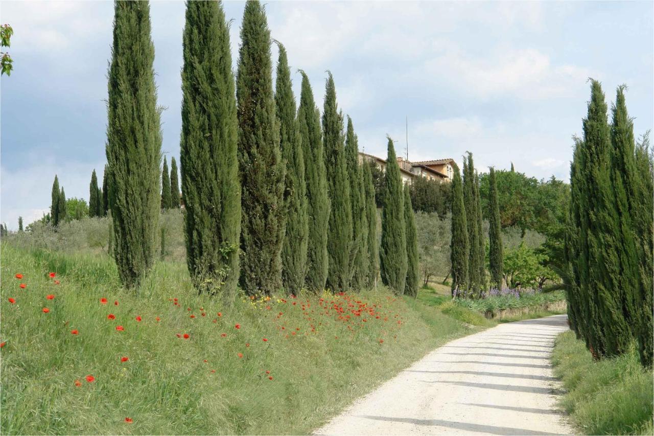Giaggiolo Apartment Poggibonsi Exterior photo
